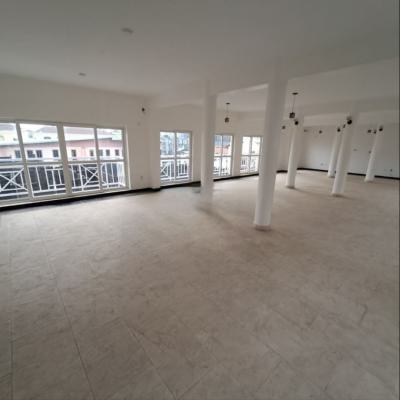 Spacious Penthouse of 4 En Suite Bedrooms + Bq, Victoria Island (vi), Lagos, House for Sale