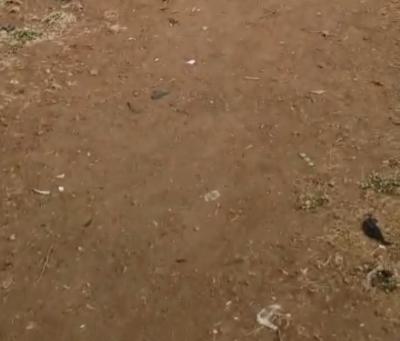 Joint Venture, Magodo, Gra Phase 2, Magodo, Lagos, Residential Land Joint Venture