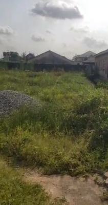 a Prime Land Measuring 26/120 in Serene Environment at Kola, Bakare Axis Off Moshalashi Kola Alagbado Via Abule Egba, Lagos State.*, Alagbado, Ifako-ijaiye, Lagos, Residential Land for Sale