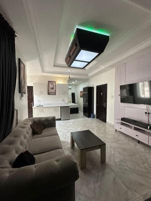 Luxury Well Maintained 6 Bedroom Detached Duplex with Bq, Ikate, Lekki, Lagos, Detached Duplex for Rent