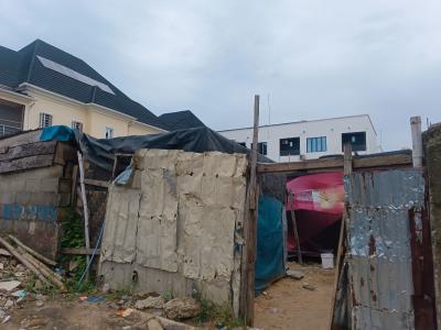 a Prime Full Plot(650sqm) Jv Land..fenced., Off Spg Road, Ologolo, Lekki, Lagos, Mixed-use Land Joint Venture