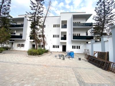 Luxury 6bedroom Duplex, Serene, Asokoro District, Abuja, Terraced Duplex for Rent