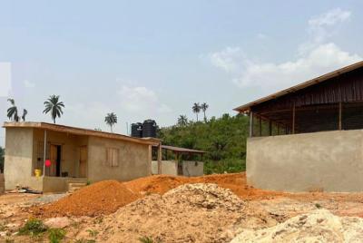 Acres & Hectares of Cocoa Plantation Along Oou Road, Ago-iwoye, Oou Road, Ago-iwoye, Ake, Ijebu North, Ogun, Land for Sale