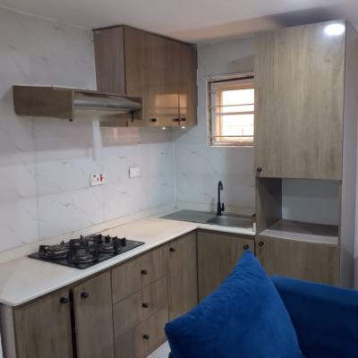 Monthly Letting*  *fully Furnished Room and Parlour (mini Fla, Lekki Phase One, Lekki Phase 1, Lekki, Lagos, Mini Flat (room and Parlour) for Rent