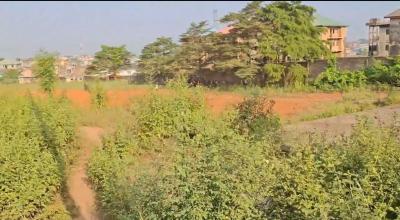 2 Acre of Land, Ikorodu, Lagos, Land for Sale