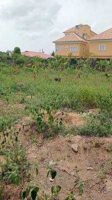 Very Well Located Table Upland 11sqm Plot of Land with C of O, Main Elesekan Town Ibeju Lekki Lagos, Bogije, Ibeju Lekki, Lagos, Residential Land for Sale
