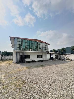 Self-compound 5-bedroom Fully Detached House with 3-room Boys Quarter, Victoria Island (vi), Lagos, Detached Duplex for Rent