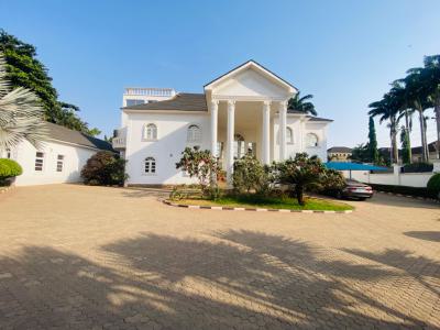 Galant 10 Bedroom Mansion, Serene, Asokoro District, Abuja, Detached Duplex for Rent