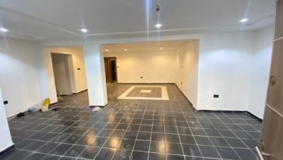 Luxury 2bedroom Apartment, Serene, Asokoro District, Abuja, Terraced Duplex for Rent