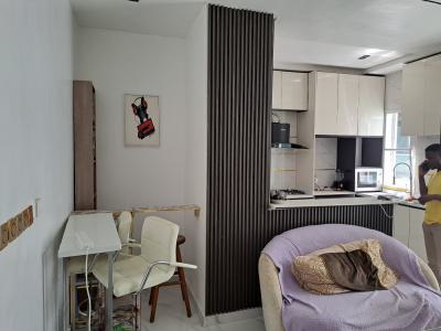 Luxury Furnished 2 Bedroom Apartment, Off Freedom Way, Lekki Phase 1, Lekki, Lagos, Flat / Apartment for Rent
