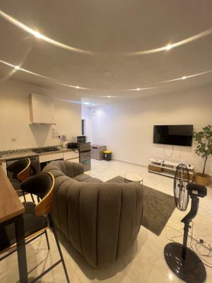 Spacious 1 Bedroom Apartment, Lekki Phase 1, Lekki, Lagos, Mini Flat (room and Parlour) for Rent