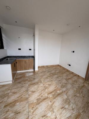 1 Bedroom Apartment Available, Ikate, Lekki, Lagos, Flat / Apartment for Rent