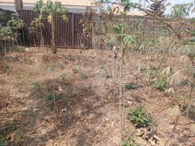 Fenced Residential Plot of Land, 2nd Plot to The Elebu Road, Just After Bendel Filling Station, Elebu, Ibadan, Oyo, Land for Sale