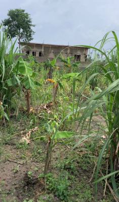 Very Dry Land Available for Purchase, New Road Bustop, Badore, Ajah, Lagos, Mixed-use Land for Sale