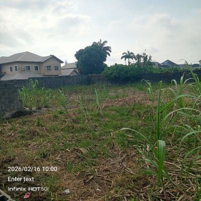 Two Plots of Land, Badore, Badore, Ajah, Lagos, Mixed-use Land for Sale