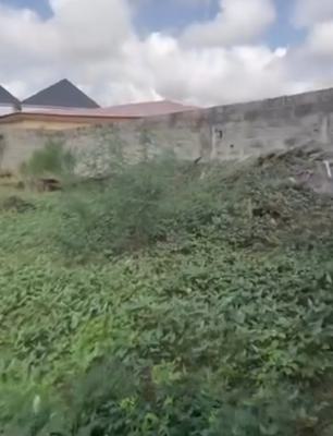1300sqm Bareland, Fenced and Gated, Ikota Gra, Lekki, Lagos, Residential Land for Sale