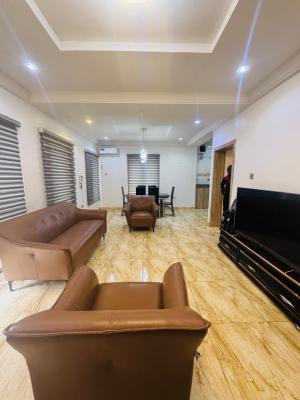 Beautifully Furnished 1 Bedroom Flat at Katampe Main, Abuja, Katampe (main), Katampe, Abuja, Mini Flat (room and Parlour) for Rent