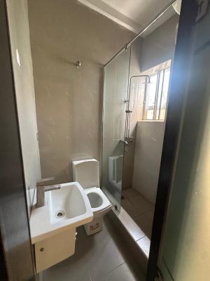 Well Maintained 4 Bedrooms Duplex with Bq, Gbagada, Lagos, Terraced Duplex for Rent