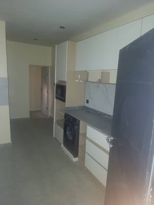Luxury Smart 3 Bedroom Apartment, Maitama District, Abuja, Flat / Apartment for Rent