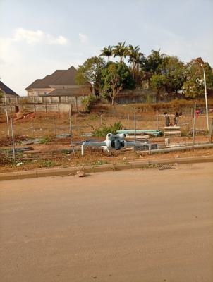Massive Land Size 2600sqm C of O Tarred Road Serene Environment, Off Nelson Mandela, Asokoro District, Abuja, Residential Land for Sale