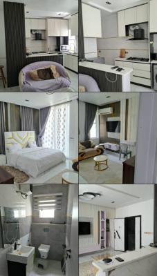 Furnished 2-bedroom Apartment with an Open-plan Kitchen, Off Freedom Way, Lekki Phase 1, Lekki, Lagos, Flat / Apartment for Rent