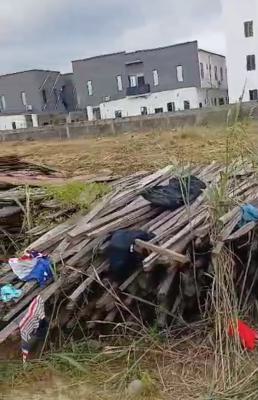 Residential Land, Eden Gardens Estate By Abraham Adesanya, Ajah, Lagos, Residential Land Joint Venture