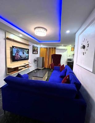 Nicely Furnished and Serviced 1 Bedroom Apartment, Ogunlana Drive, Surulere, Lagos, Mini Flat (room and Parlour) Short Let