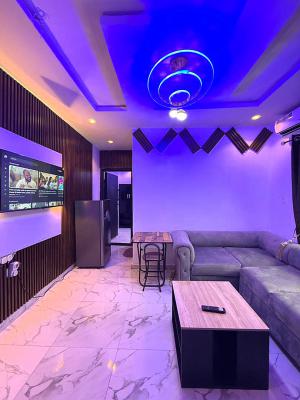 Sensationally Furnished and Serviced Luxury 1 Bedroom Apartment, Off Olufemi Street, Surulere, Surulere, Lagos, Mini Flat (room and Parlour) Short Let