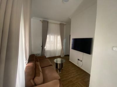 Tastefully Furnished One Bedroom Apartment, Ikeja Gra, Ikeja, Lagos, Mini Flat (room and Parlour) for Rent