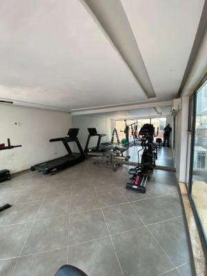 Spacious 1 Bedroom Fully Serviced with 24 Hours Light , Gym and Pool, Ologolo Lekki, Ologolo, Lekki, Lagos, Mini Flat (room and Parlour) for Rent