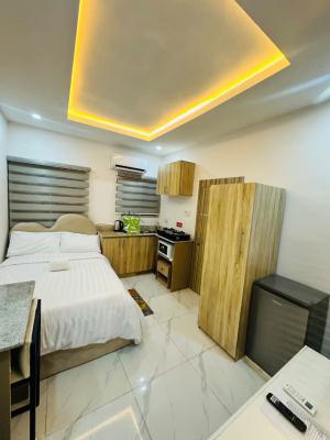 Ngz Lvn Studio(s5), Dele Adedeji Street, Lekki Phase 1, Lekki, Lagos, Flat / Apartment Short Let