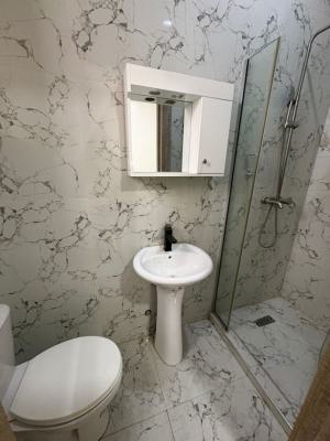 Mini Flat, Chevron Lekki Conservation, Ajah, Lagos, Mini Flat (room and Parlour) for Rent