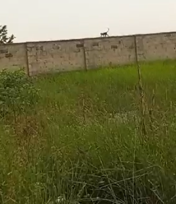 Prime Residential Development Land — Lekki, Lagos