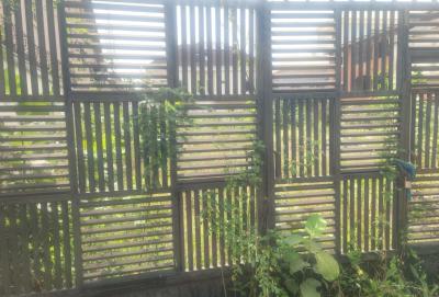 Fantastic Plot  of Land Measuring Approx 1000sqm in Gated Estate, Agungi, Lekki, Lagos, Residential Land for Sale