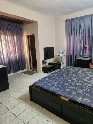 Furnished Studio, Area 2, Garki, Abuja, Flat / Apartment for Rent