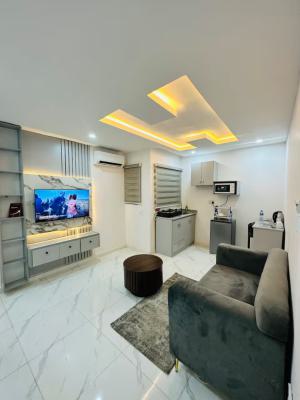 Ngz Lvn 1bed & Parlour(b2), Dele Adedeji Street, Lekki Phase 1, Lekki, Lagos, Flat / Apartment Short Let