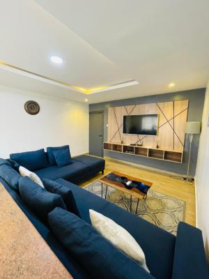 Luxury 1 Bedroom Apartment, Adetokunbo Ademola Street, Victoria Island (vi), Lagos, Mini Flat (room and Parlour) for Rent