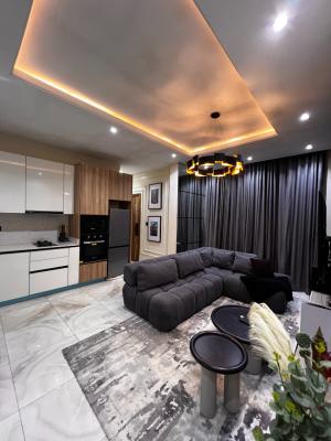 1 Bedroom Apartment, Ikate, Lekki, Lagos, Flat / Apartment for Sale