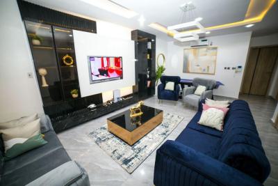 Nicely Furnished 2 Bedrooom Apartment, Ikate, Lekki, Lagos, Flat / Apartment Short Let