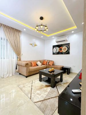 Nicely Furnished 2 Bedroom Apartment, Ikate, Lekki, Lagos, Flat / Apartment Short Let