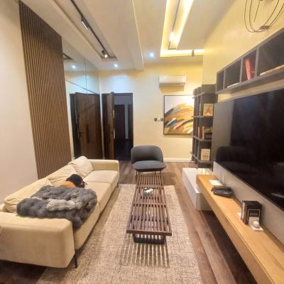 Furnished 2 Bedroom Apartment, Chevron Drive, Chevron, Lekki, Lagos, Flat / Apartment for Sale