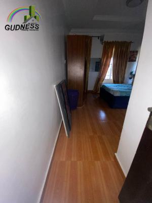 Spacious 1 Bedroom Mini Flat, Chevron, Lekki, Lagos, Flat / Apartment for Rent
