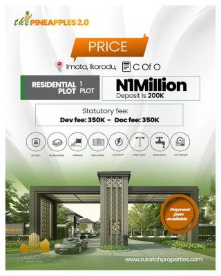 Ileya Promo Offer on Estate Gated Land with C of O, Pineapple Estate 2.0, Imota, Ikorodu, Lagos, Mixed-use Land for Sale