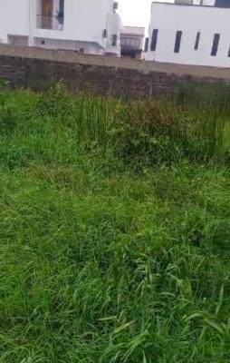 Well Positioned 1300sqm Now Available for Serious Investors, Peninsula Garden Estates, Sangotedo, Ajah, Lagos, Residential Land Joint Venture