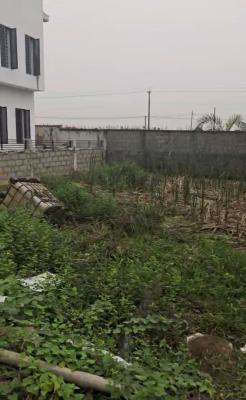 Well Located 300sqm Land, Located Along Ogombo Road, Ajah, Lagos, Residential Land for Sale