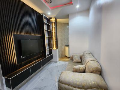 Well Located, Fully Furnished Luxury One Bedroom Apartment at Mabushi, Aravalli Hills Apartments, Mabushi, Abuja, Mini Flat (room and Parlour) for Rent