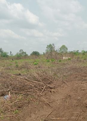 Govt Approved Farm Estate Strategically Located, Zara Farm City - Ido / Ido-eruwa Axis, Ibadan, Ido, Oyo, Commercial Land for Sale