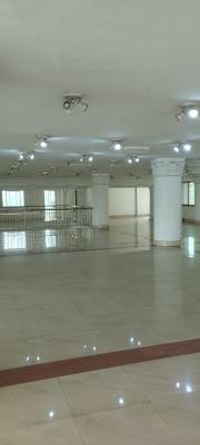 a Large Office Space Or Warehouse, Victoria Island, Victoria Island (vi), Lagos, Office Space for Rent