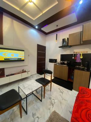 Cozy Studio Apartment, Yaba, Lagos, Flat / Apartment Short Let