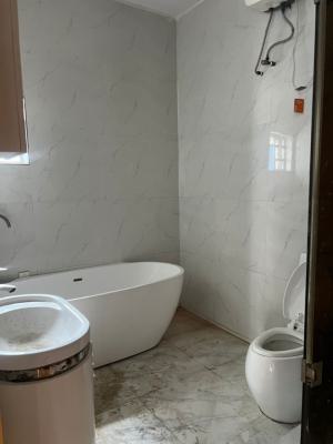 Big Master Bedroom Shared Apartment in Chevy View Estate, Chevy View Estate, Lekki, Lagos, Self Contain (single Rooms) for Rent